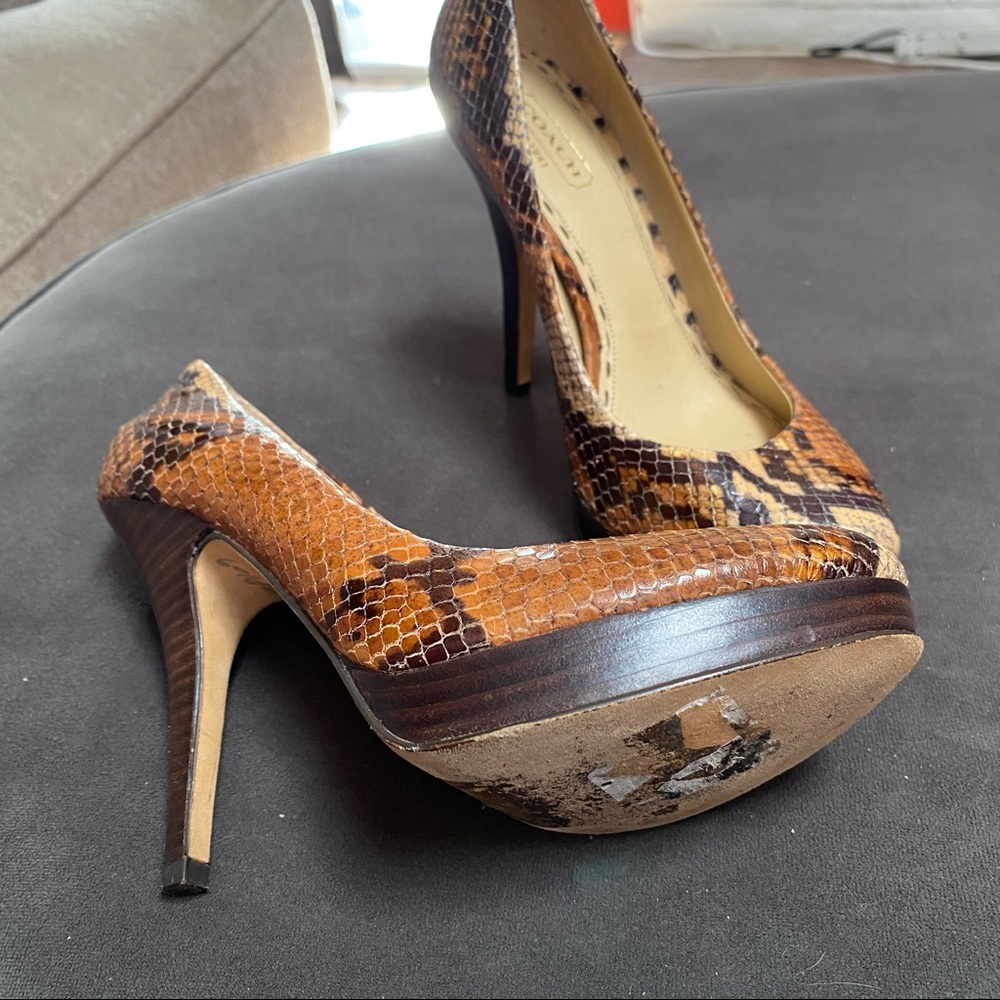 Coach Buffy Printed Python Platform Pumps - image 4
